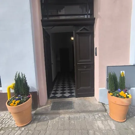 Psd - Anny łajming 1d * Słupsk